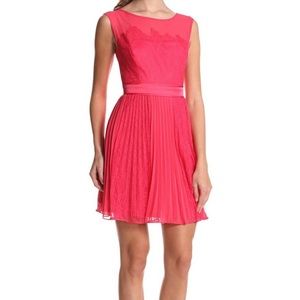 NWT Pink Max & Cleo cocktail dress with lace detailing.